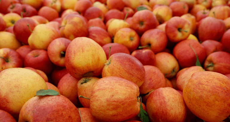 A close-up image featuring a colorful assortment of apples